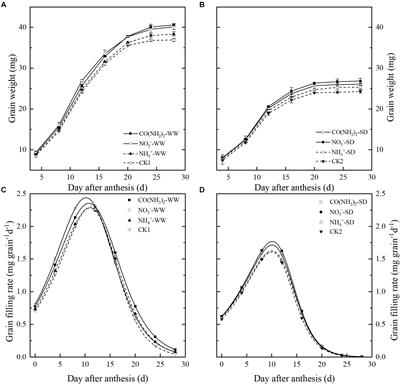 Effect of Foliar Application of Various Nitrogen Forms on Starch Accumulation and Grain Filling of Wheat (Triticum aestivum L.) Under Drought Stress